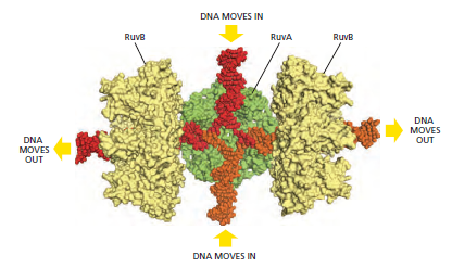 Figure 5-57.png